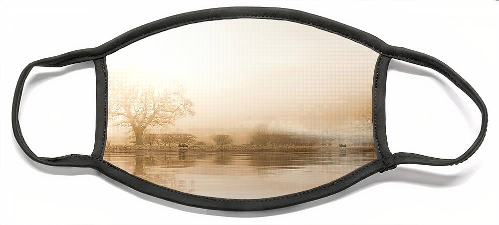 Winter Face Mask featuring the photograph Rural misty Norfolk landscape with water reflections by Simon Bratt