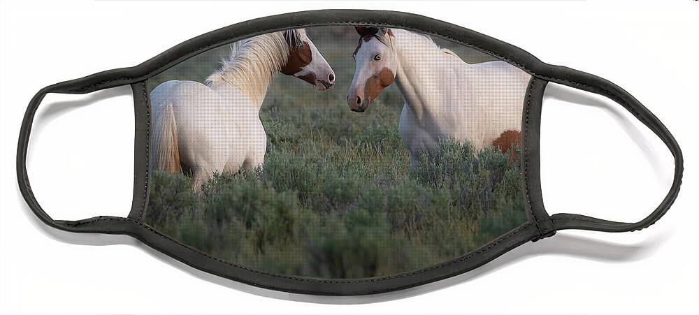 Wild Horses Face Mask featuring the photograph Sagebrush Angels by Mary Hone