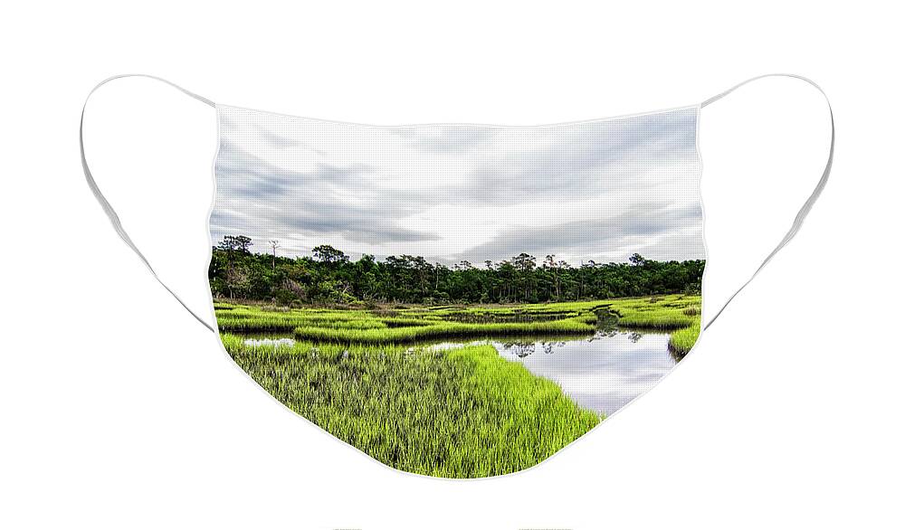 Marsh Face Mask featuring the photograph Salt Marsh of the Croatan National Forest by Bob Decker