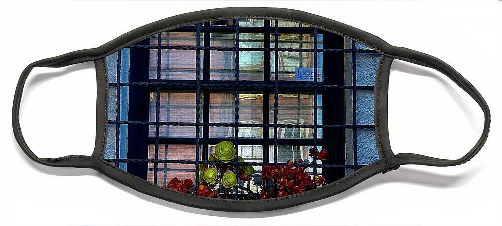 Window Face Mask featuring the photograph San Francisco Window by Suzanne Lorenz