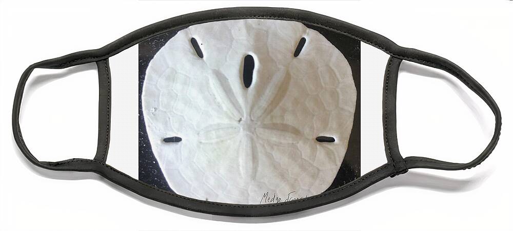 Sand Dollar Face Mask featuring the photograph Sand Dollar by Medge Jaspan