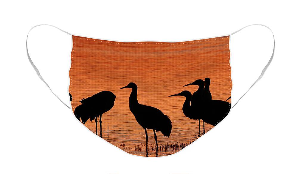 Usa Face Mask featuring the photograph Sandhills In Their Golden Hours by Jennifer Robin
