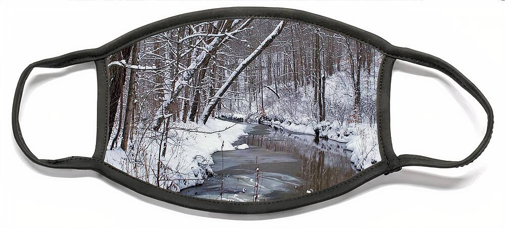 Woods Face Mask featuring the photograph Satiny Stream by Yvonne M Smith