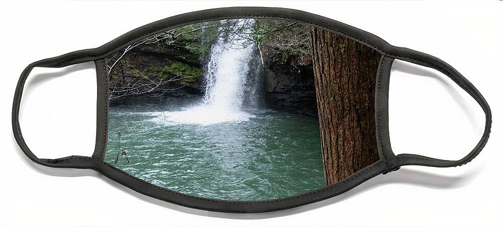 Savage Falls Face Mask featuring the photograph Savage Falls by Cascade Colors