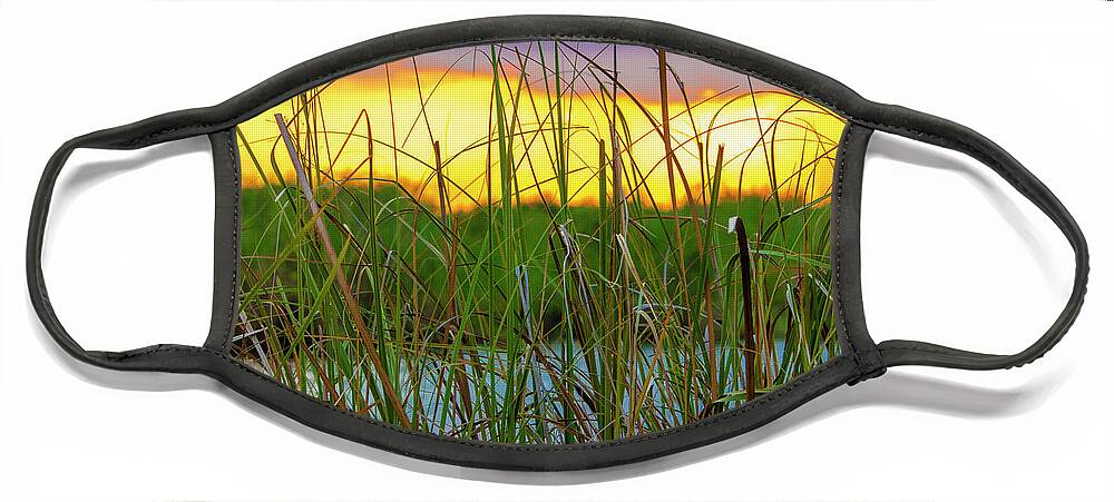 Sunset Face Mask featuring the photograph Sawgrass Sunset by Blair Damson