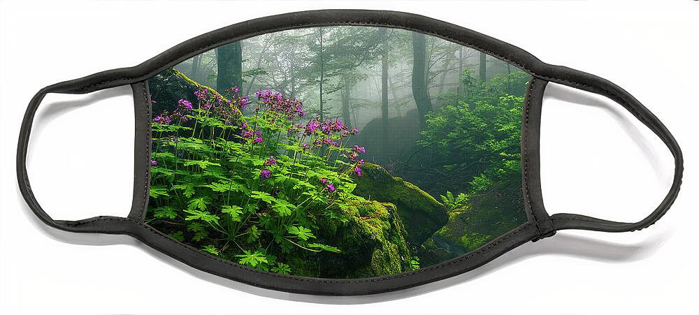 Geranium Face Mask featuring the photograph Scent of Spring by Evgeni Dinev