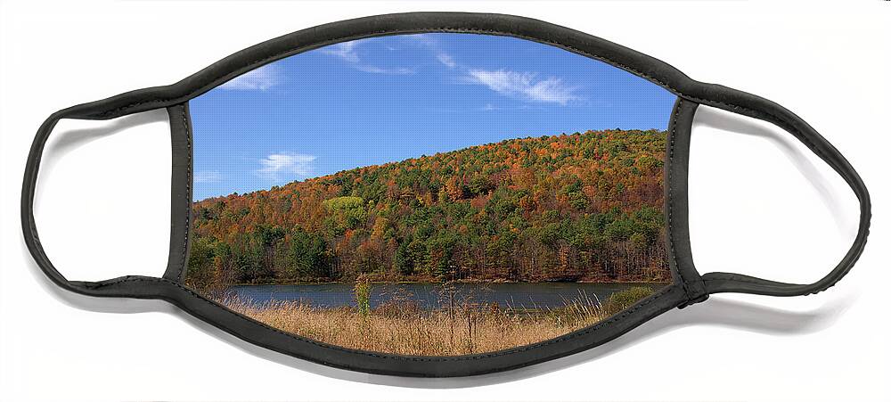 Schoharie Creek Face Mask featuring the photograph Schoharie Creek in New York by Angie Tirado