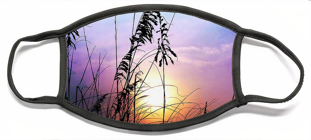 Sea Oats Face Mask featuring the photograph Sea Oats by Scott Cameron
