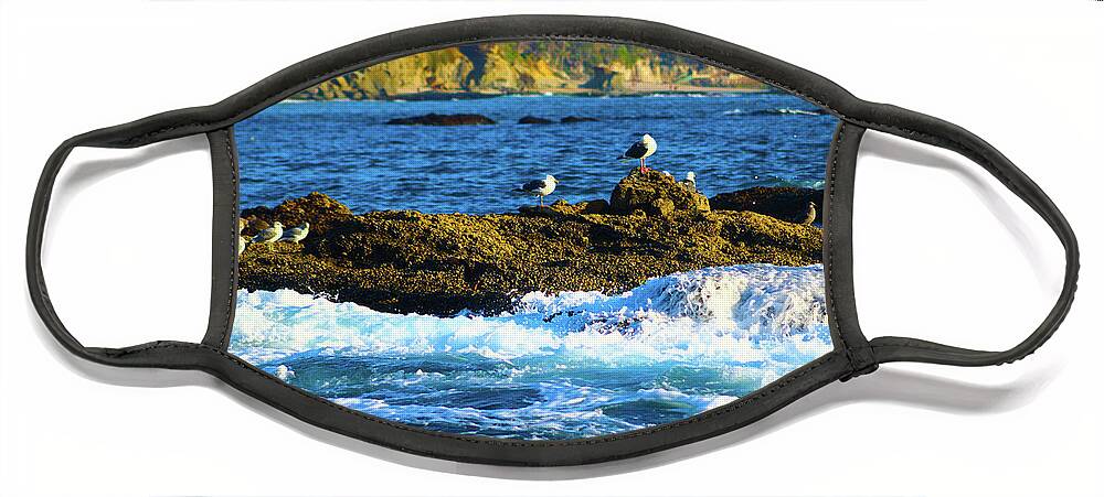 Ocean Face Mask featuring the photograph Seagulls on the Rocks by Marcus Jones