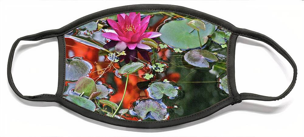 Water Lily: Water Garden Face Mask featuring the photograph September Rose Water Lily 2 by Janis Senungetuk