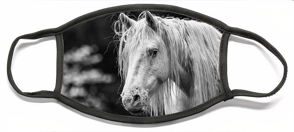 Black And White Face Mask featuring the photograph Shawnee Mare and Dogwoods by Holly Ross