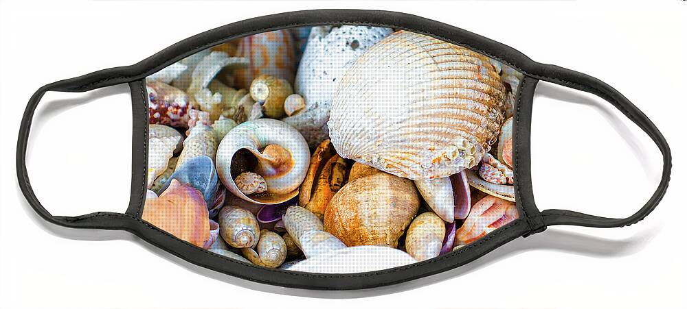 Shell Face Mask featuring the photograph Ocean Shells Everywhere by Blair Damson