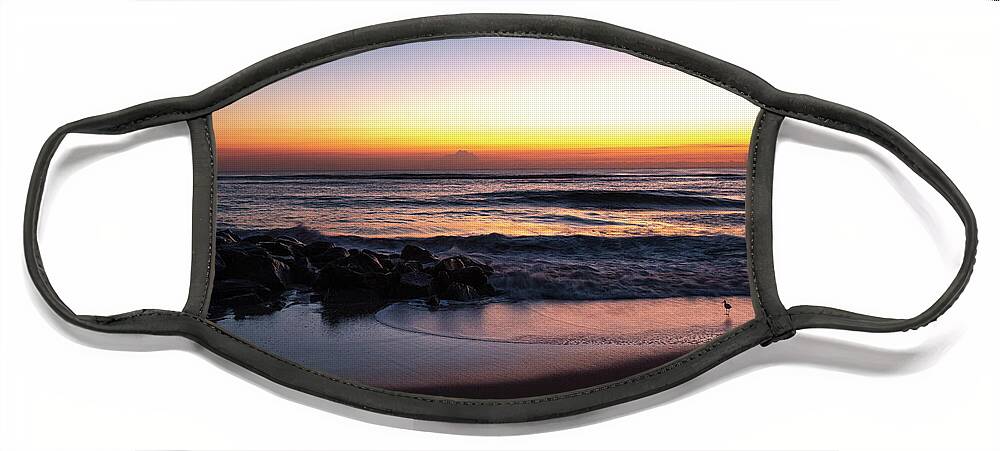 Birds Face Mask featuring the photograph Shorebird at Dawn by Debra and Dave Vanderlaan