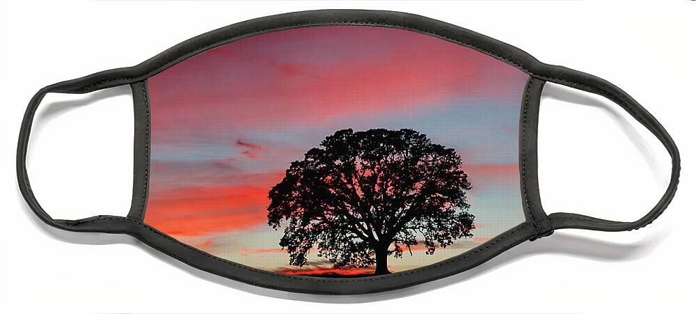 Silhouette Face Mask featuring the photograph Silhouette Sunset by Gary Geddes