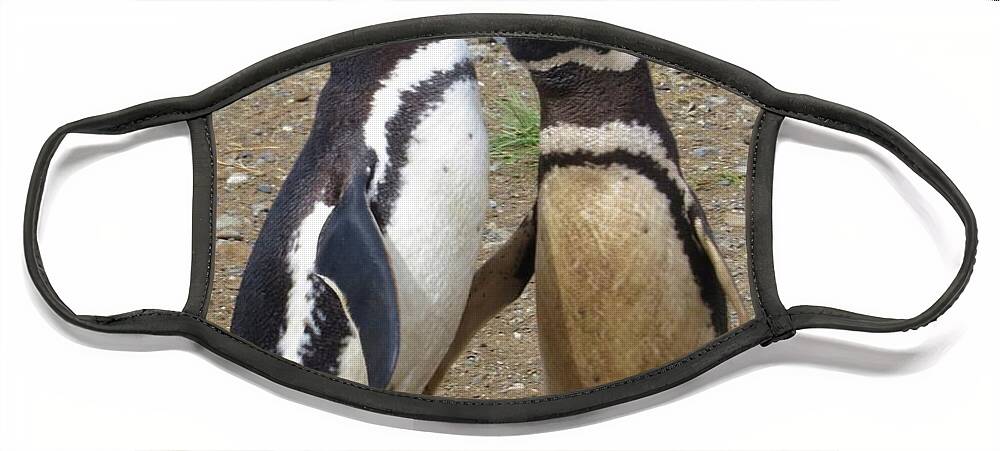 Penguins Face Mask featuring the photograph Sing a Happy Song by World Reflections By Sharon