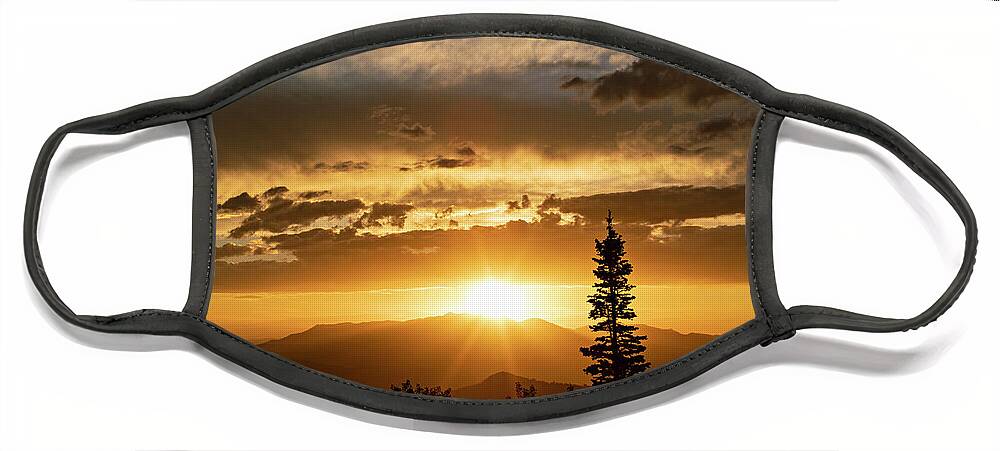 Sunset Face Mask featuring the photograph Single Tree Sunset by Wesley Aston