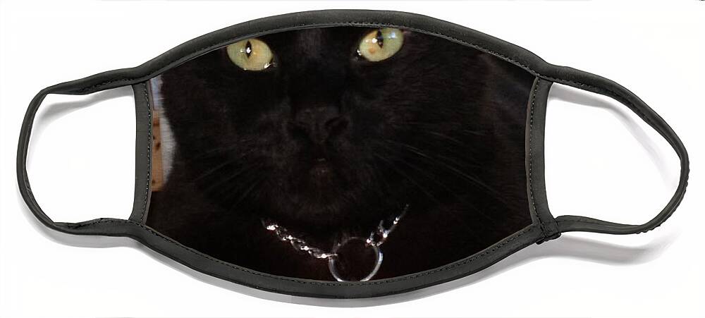 Black Cat Face Mask featuring the photograph Sir Lance a Locke by Kim Prowse