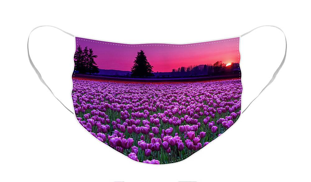 Gold Face Mask featuring the photograph Skagit Valley at Sunset by Penny Lisowski