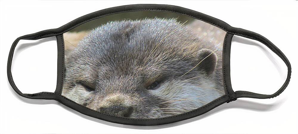 Otter Face Mask featuring the photograph Sleepy Otter by Yvonne M Smith