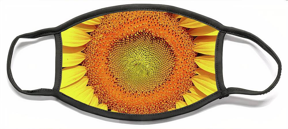 Sunflower Face Mask featuring the photograph Smile by Lens Art Photography By Larry Trager