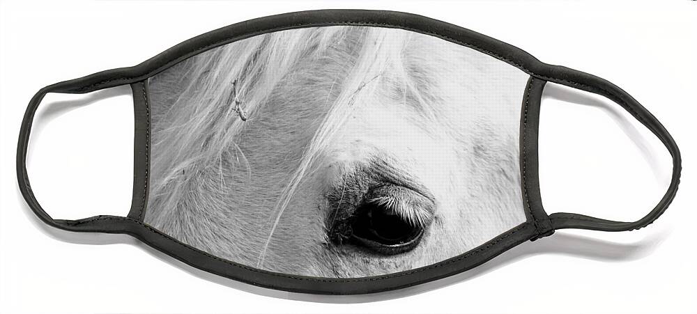 Horse Face Mask featuring the photograph Snoopy's Eye by Amanda R Wright