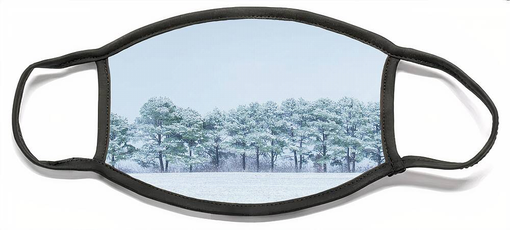 Snow Face Mask featuring the photograph Snow Covered Trees by Allin Sorenson