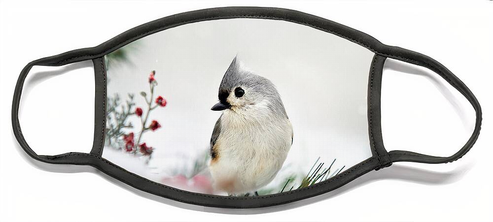 Birds Face Mask featuring the photograph Snow White Tufted Titmouse by Christina Rollo