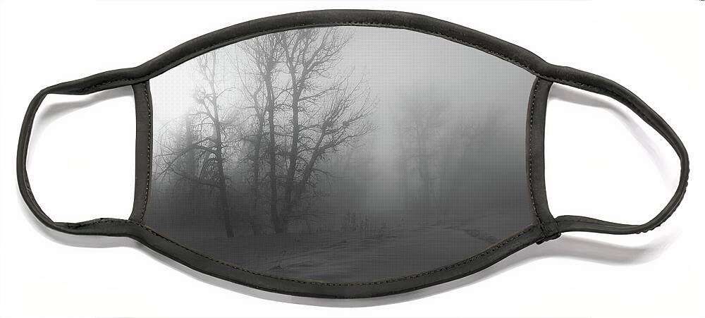 Snowshoeing Face Mask featuring the photograph Snowshoeing Path Through the Fog and Snow by Cascade Colors