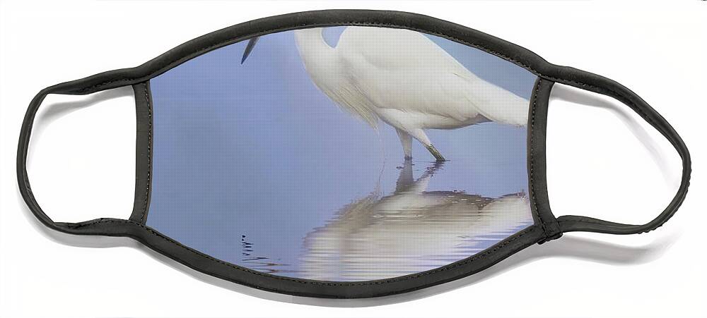 Bird Face Mask featuring the photograph Wading Snowy Egret by Pat Watson