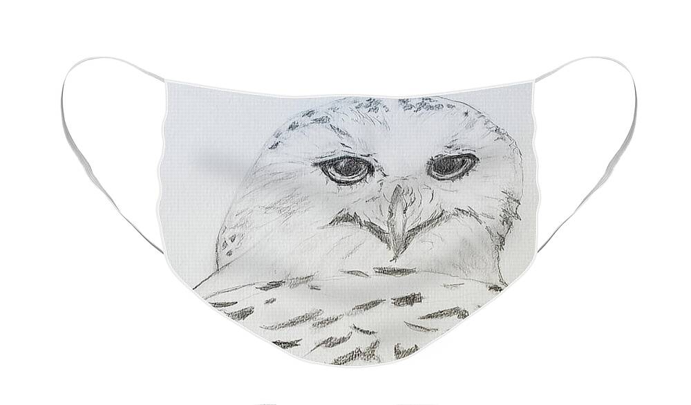 Birds Face Mask featuring the drawing Snowy Owl by Mary Capriole