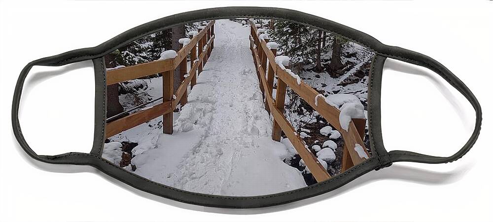 Landscape Face Mask featuring the photograph Snowy pathway by Erin Mitchell