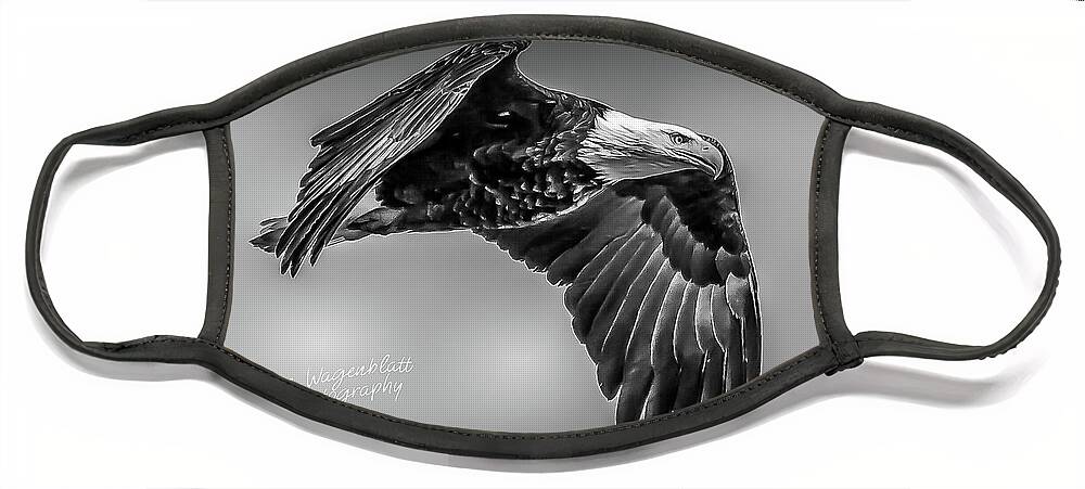 Eagle Face Mask featuring the photograph Soaring Eagle in Black and White by David Wagenblatt