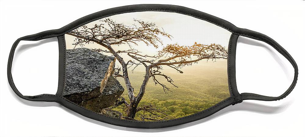 Tree Face Mask featuring the photograph Solitude by Jordan Hill