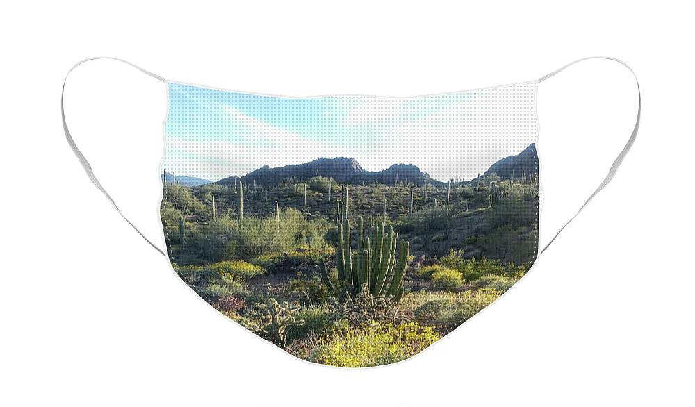 Cactus Face Mask featuring the photograph Sonoran Life by Charleen Martin