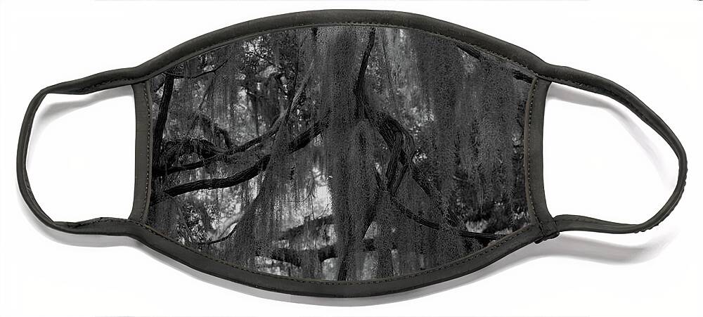 Georgia Face Mask featuring the photograph Spanish Moss, Oaks, and Twisting Vines, St. Simons Island, 2019 by John Simmons