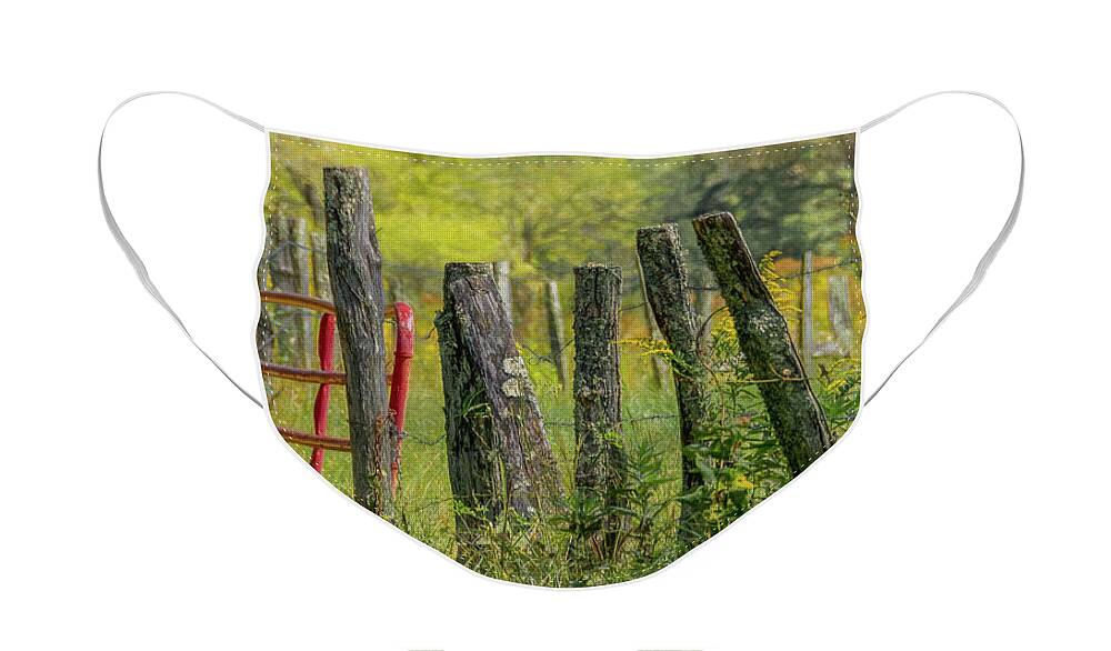 Cades Cove Face Mask featuring the photograph Sparks Lane Appeal by Marcy Wielfaert