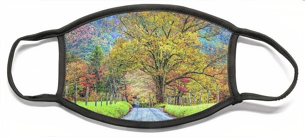 Barns Face Mask featuring the photograph Sparks Lane at Cades Cove Townsend Tennessee by Debra and Dave Vanderlaan