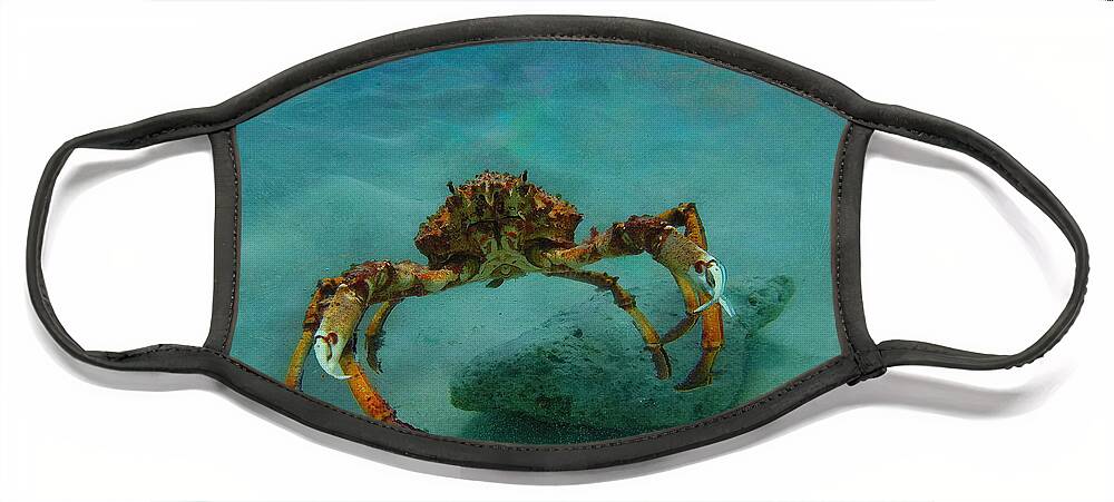 Spider Crab Face Mask featuring the digital art Spider Crab by Jerzy Czyz