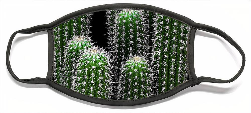 Cactus Face Mask featuring the photograph Spiky by Gary Geddes