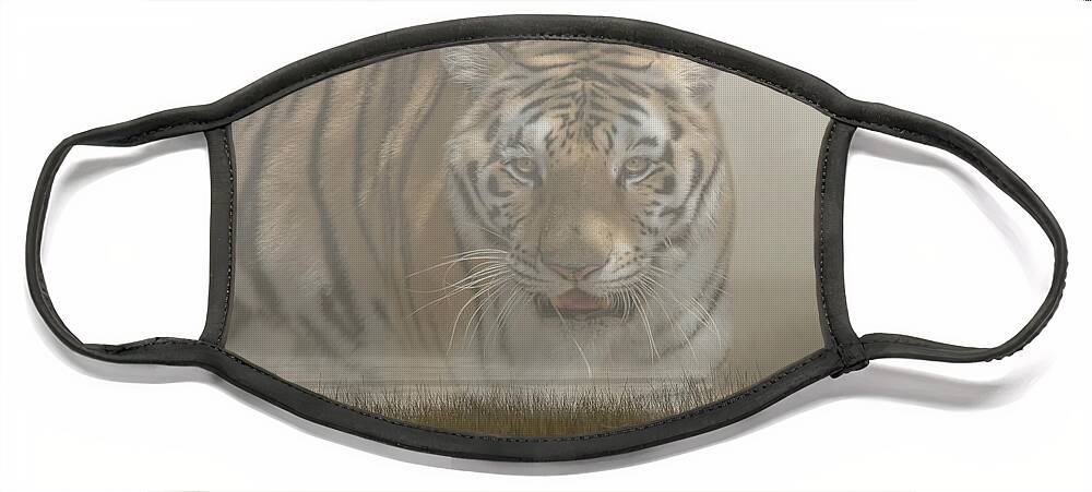 Tigers Face Mask featuring the photograph Spiritual Tiger Of The Foggy Marshland by DB Hayes