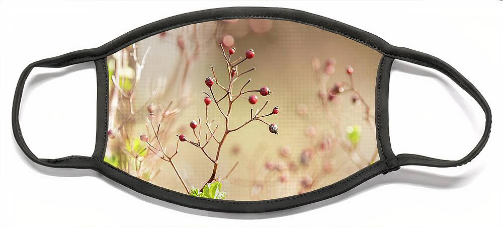 Spring Face Mask featuring the photograph Spring Berries 2 by Amelia Pearn