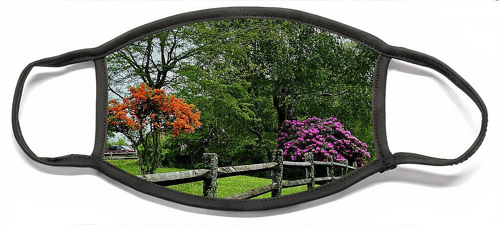 Blue Ridge Parkway Face Mask featuring the photograph Spring Blooms by Meta Gatschenberger