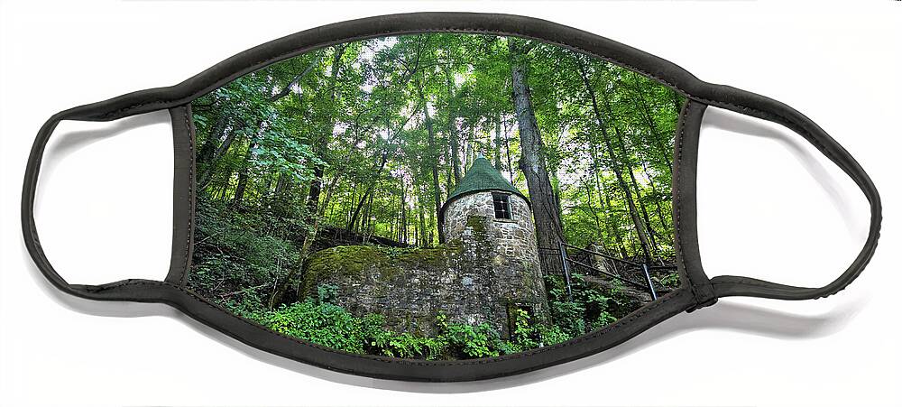 Castle Face Mask featuring the photograph Spring Castle by George Taylor