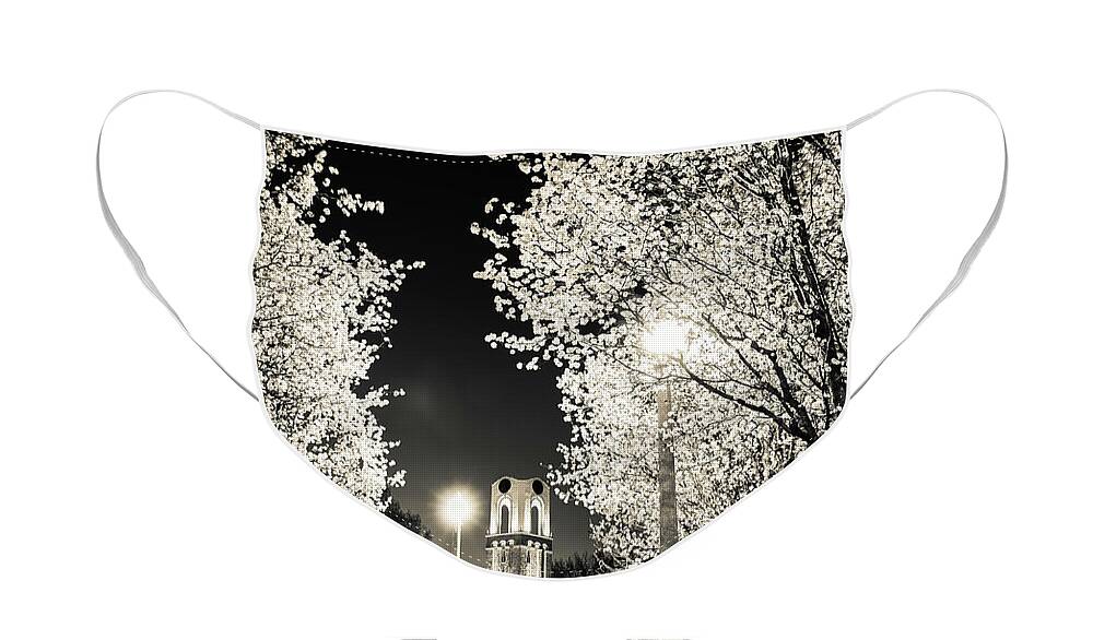 Forest Park Face Mask featuring the photograph Spring in Forest Park by Randall Allen
