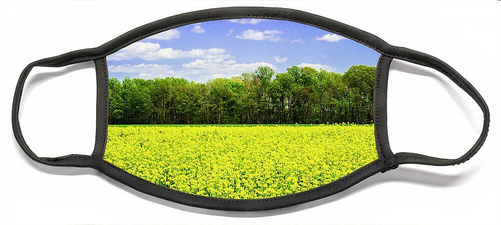 Color Face Mask featuring the photograph Spring in the Field by Alan Hausenflock