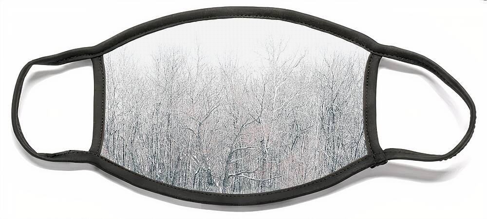 Winter Face Mask featuring the photograph Springfield Lake Winter by Allin Sorenson