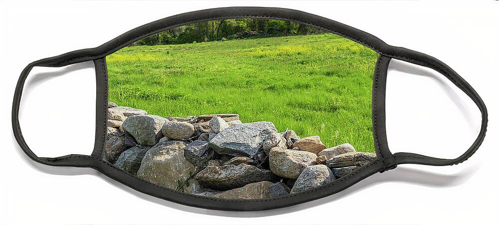 Green Face Mask featuring the photograph Springtime Green Field and Stone Wall I by Marianne Campolongo
