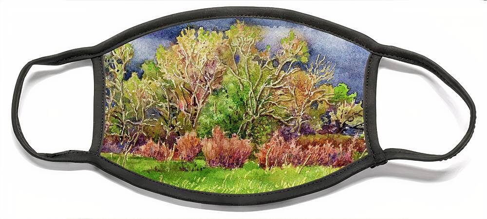 Stormy Sky Painting Face Mask featuring the painting Springtime Stormy Sky by Anne Gifford