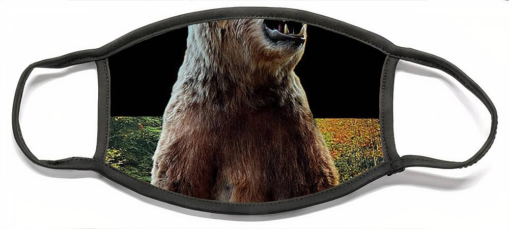 Bear Face Mask featuring the photograph Standing Bear by Gary Gunderson