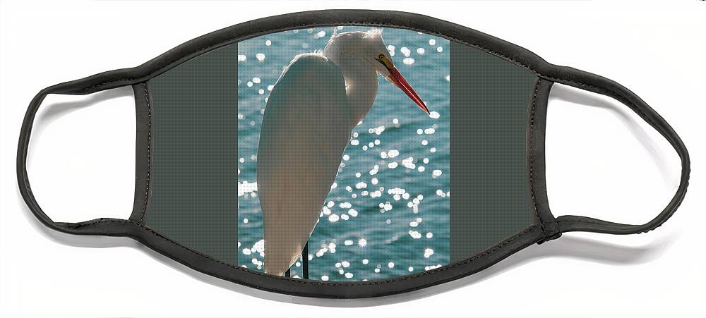 Egret Face Mask featuring the photograph Standing Proud Against Water Sparkles by Joanne Carey